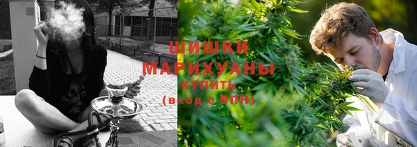винт Новозыбков