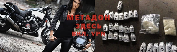 прущие грибы Беломорск